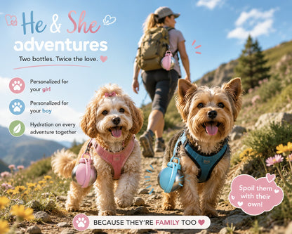 On-the-Go Dog Water Bottle | Stainless Steel | 285ml