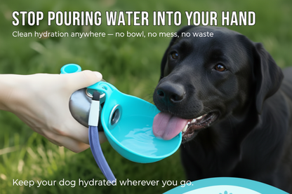 Dog Drinking from Teal Pet Water Bottle